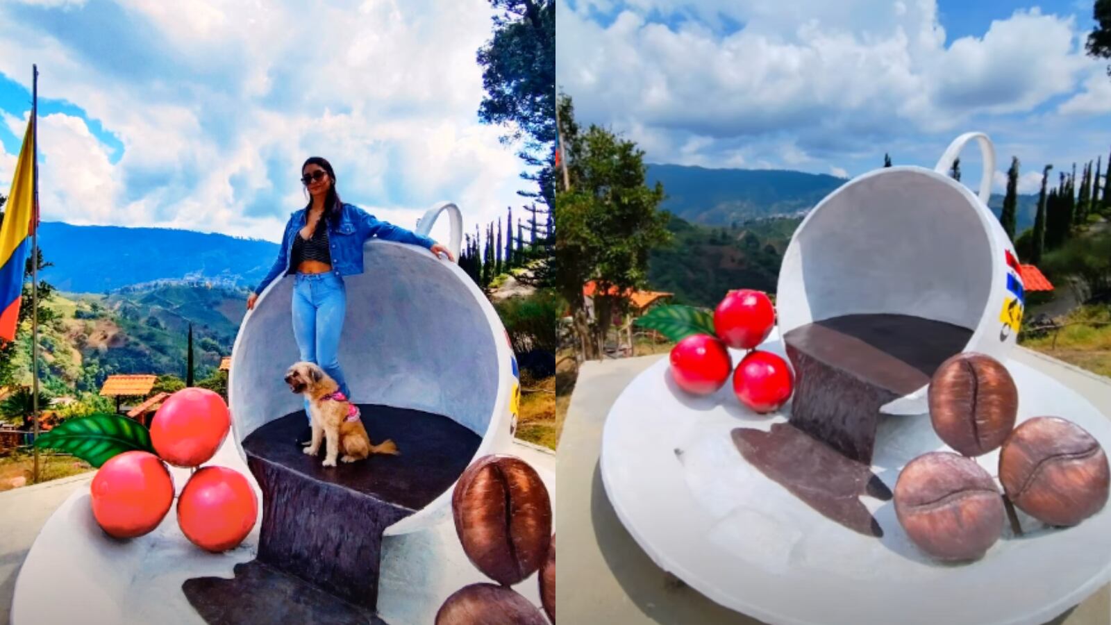 Desde una taza de café podrá admirar la belleza del paisaje cafetero