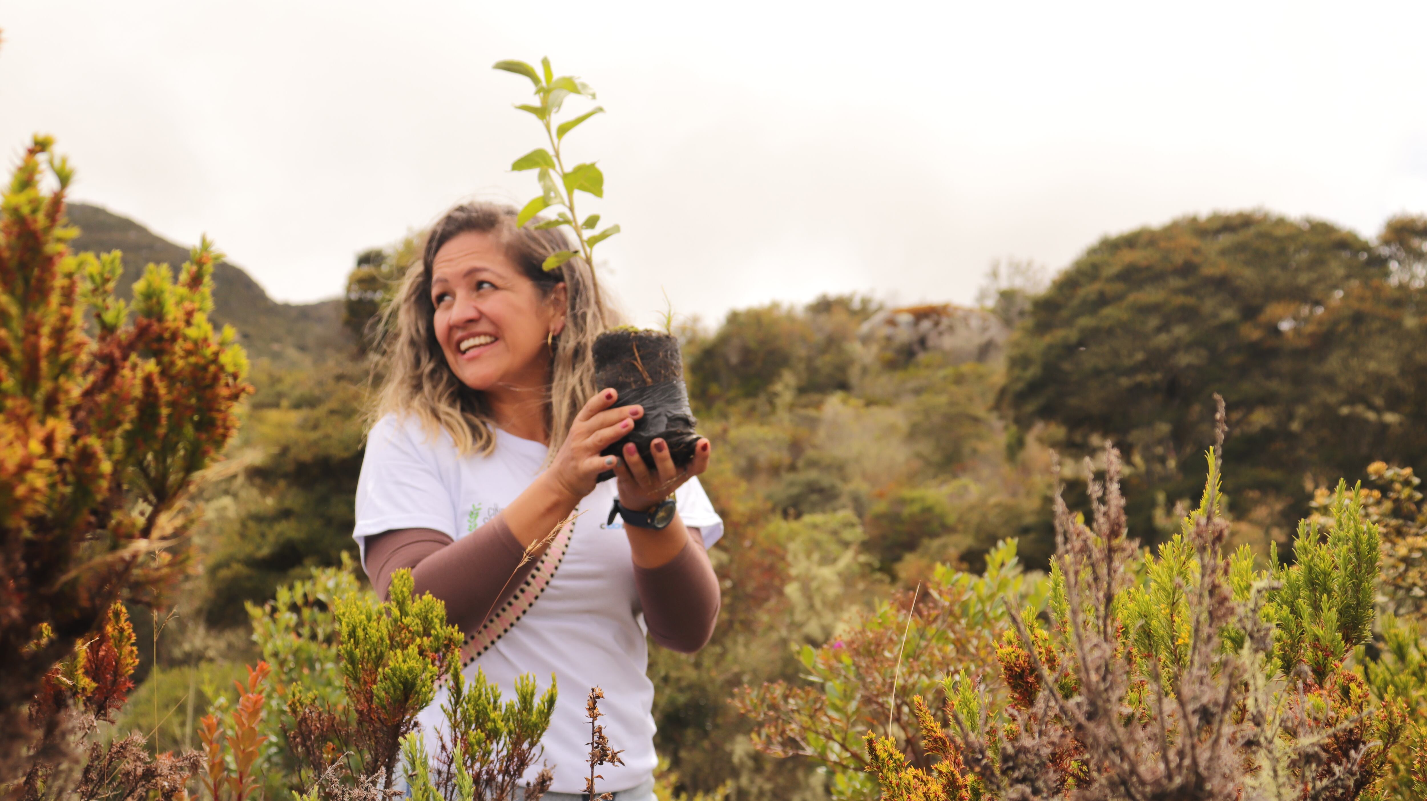 Por motivos de protección del ecosistema, el festival no realiza proyecciones en el páramo ni incentiva el turismo de este territorio.