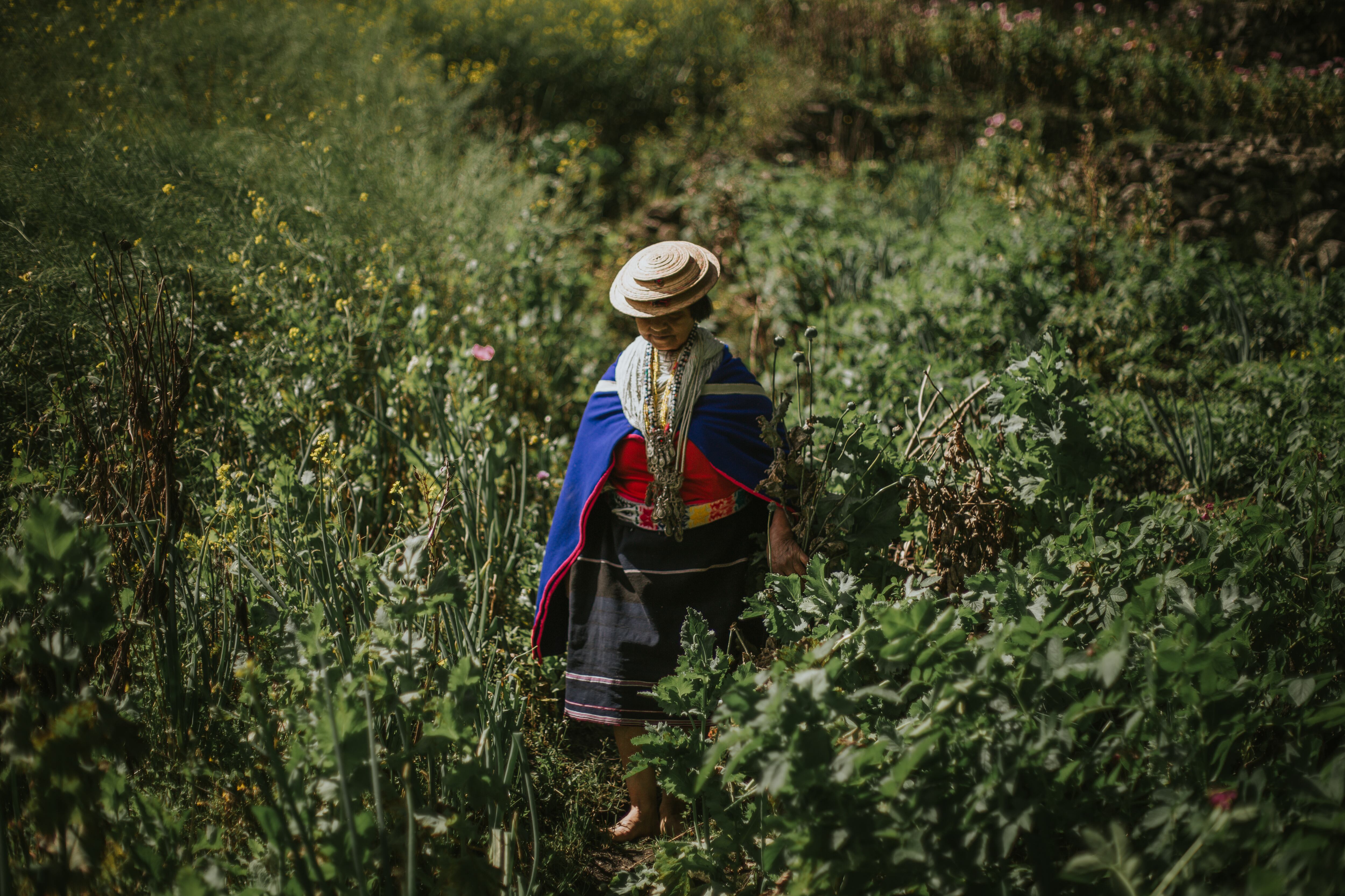 Cruceros de Julieth Morales. Cortesía de la artista.