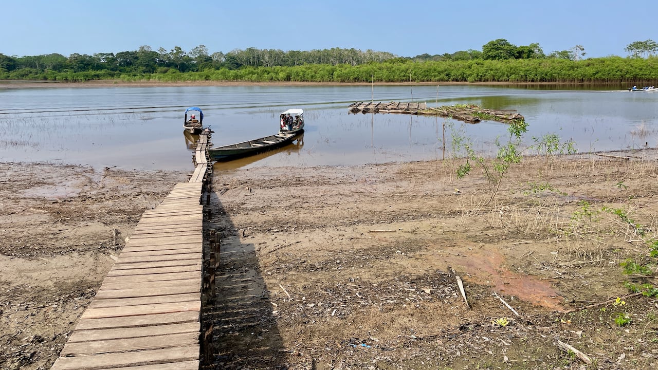 Imagen referencia del fenómeno de El Niño.