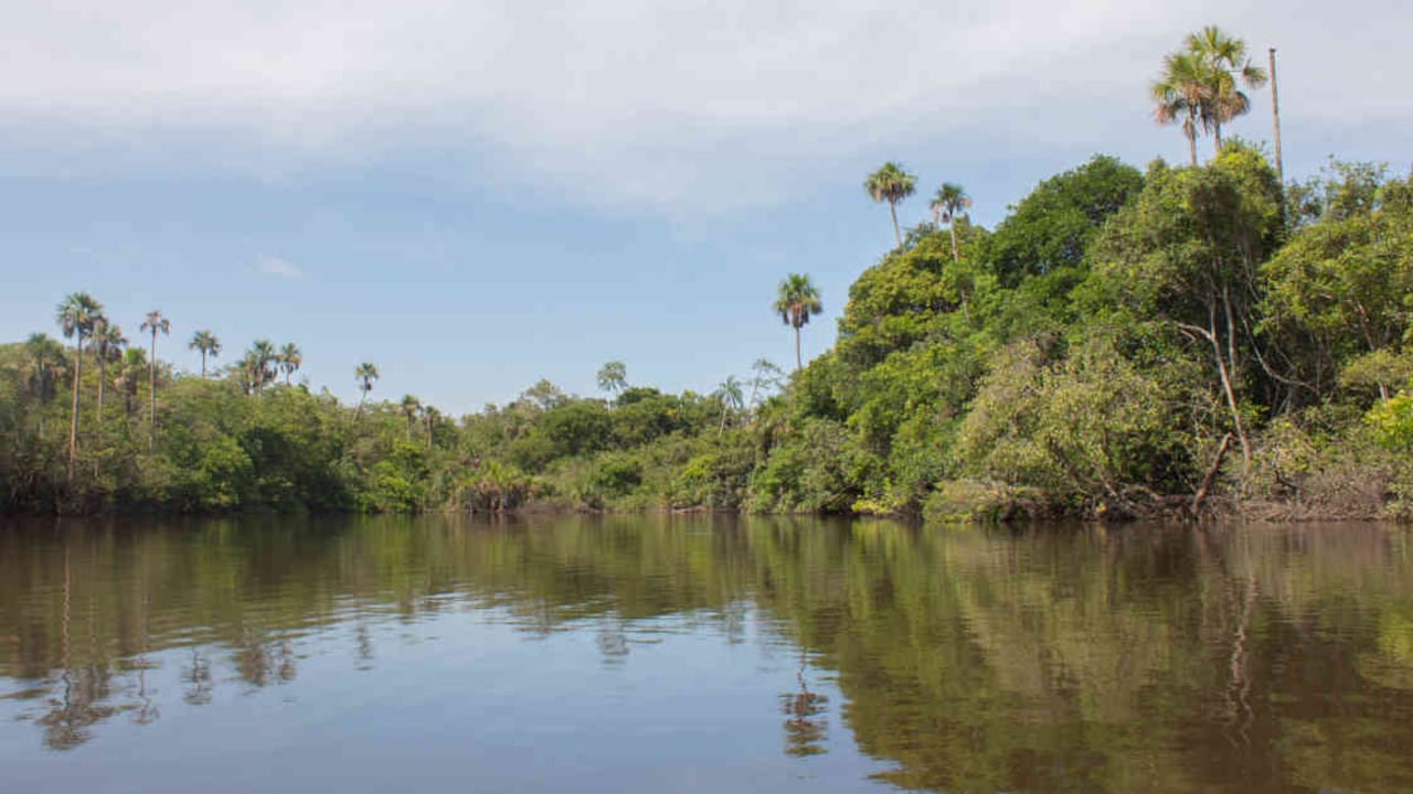 Además de Caño Cristales, en La Macarena existen otros lugares que los operadores buscan posicionar entre los turistas. Foto: José Luis Peñarredonda y Andrea Díaz Cardona.