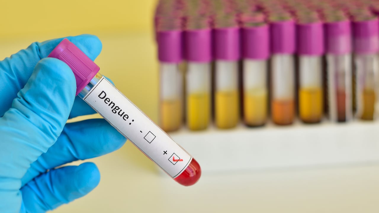 Colombia ha registrado un incremento pronunciado del dengue en los últimos meses.