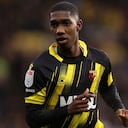 Yaser Asprilla, joya al servicio del Watford inglés.