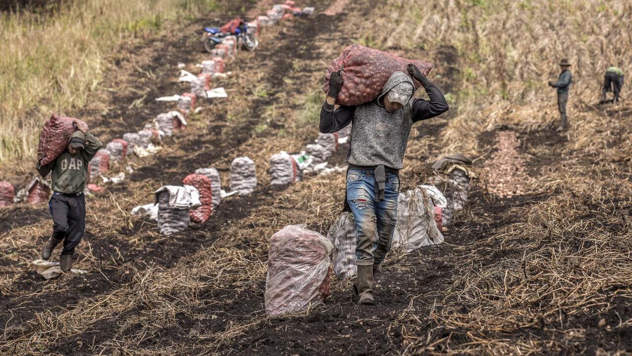 Silvia Restrepo, vicerrectora de Investigación y Creación de Uniandes, explica que de priorizar el uso exclusivo de internet en este proceso de diálogos se “estaría descartando mucha gente”.