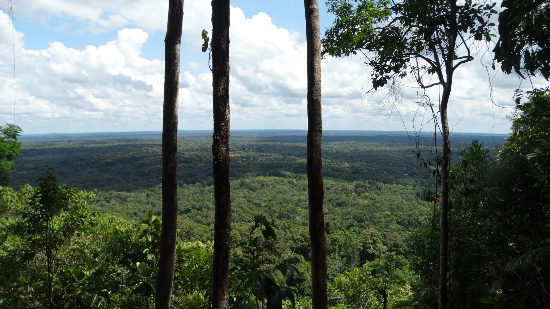 Vista panorámica desde Bogotá Cachivera.