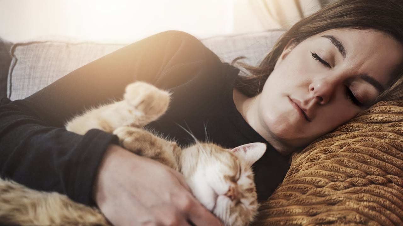 Soñar con gatos puede tener diversos significados.