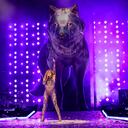 Los 10 mandamientos de Shakira