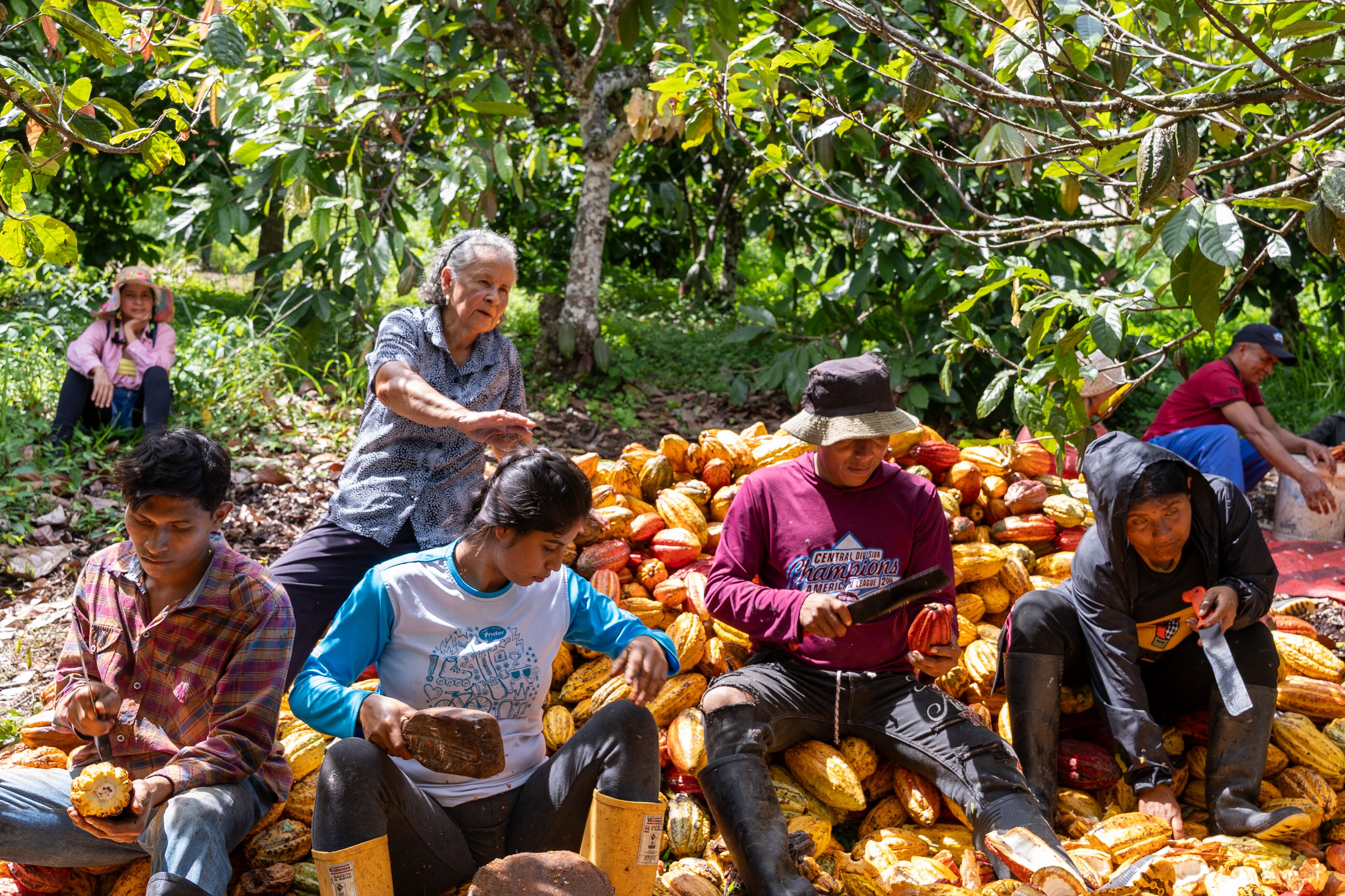 En total, 30 familias participan con diferentes iniciativas en la región.