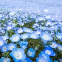 El azul también está vinculado a las emociones, transmitiendo un mensaje sereno y calmante.