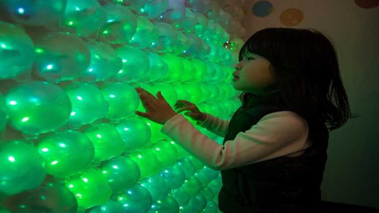 Dentro de un país, la relación entre el coeficiente intelectual y el ingreso parece modesta. Mientras en algunas naciones cada punto adicional en el IQ (coeficiente intelectual) significa 1% de mayores ingresos por persona, en otros puede alcanzar el 6%.