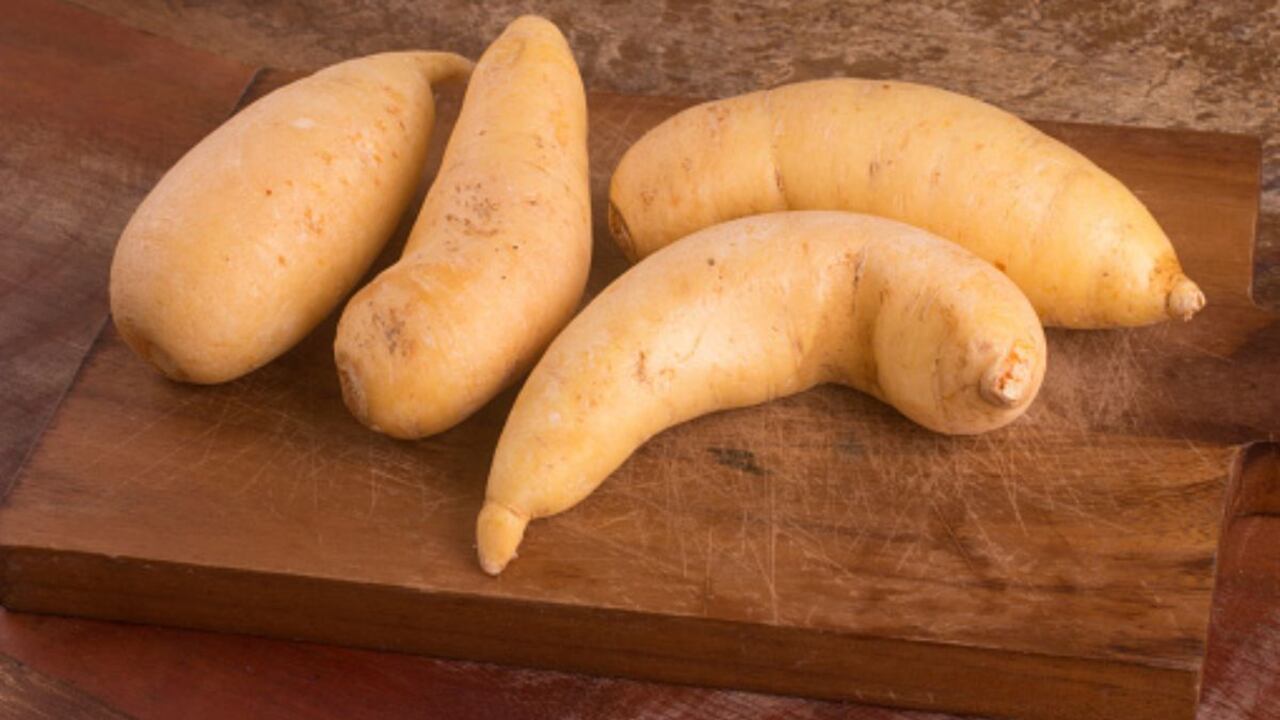 Tubérculo con múltiples beneficios.