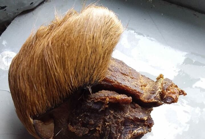 A internos de El Pedregal les habrían dado carne de caballo.