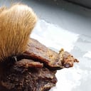 A internos de El Pedregal les habrían dado carne de caballo.