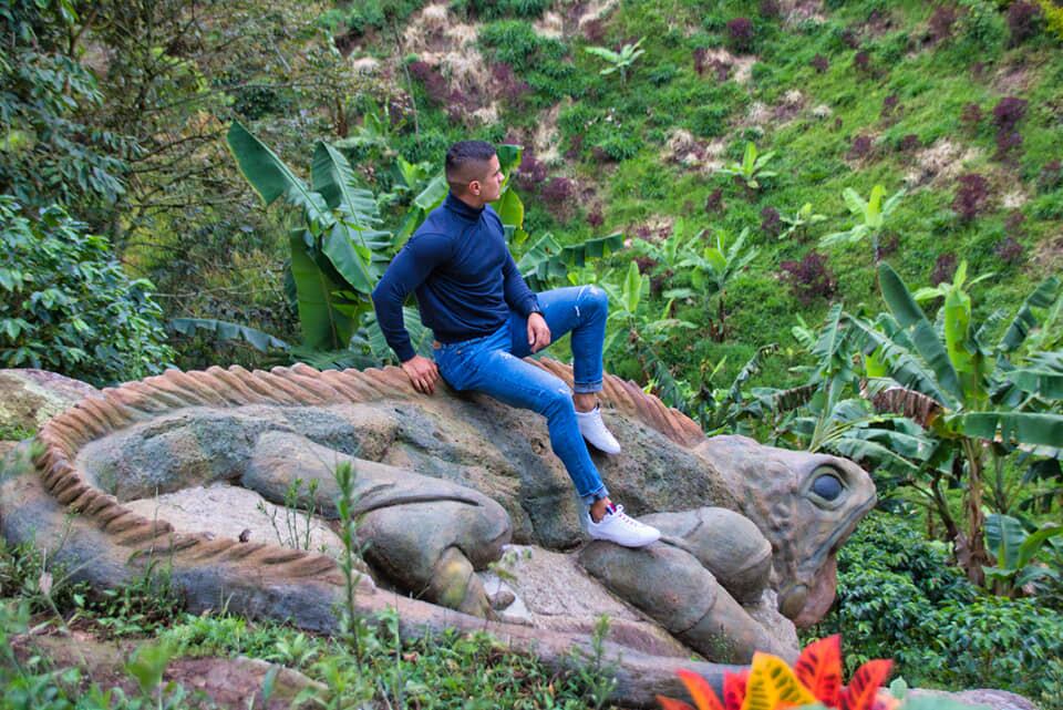 Cada escultura tiene una infografía donde se muestra cómo era la forma original de la piedra y una descripción de cada especie común en esta región.