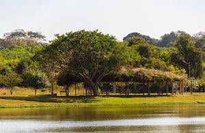 Foto de referencia de una reserva natural.