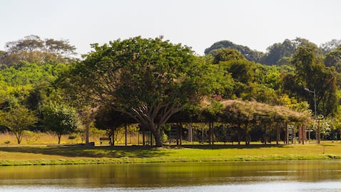 Foto de referencia de una reserva natural.