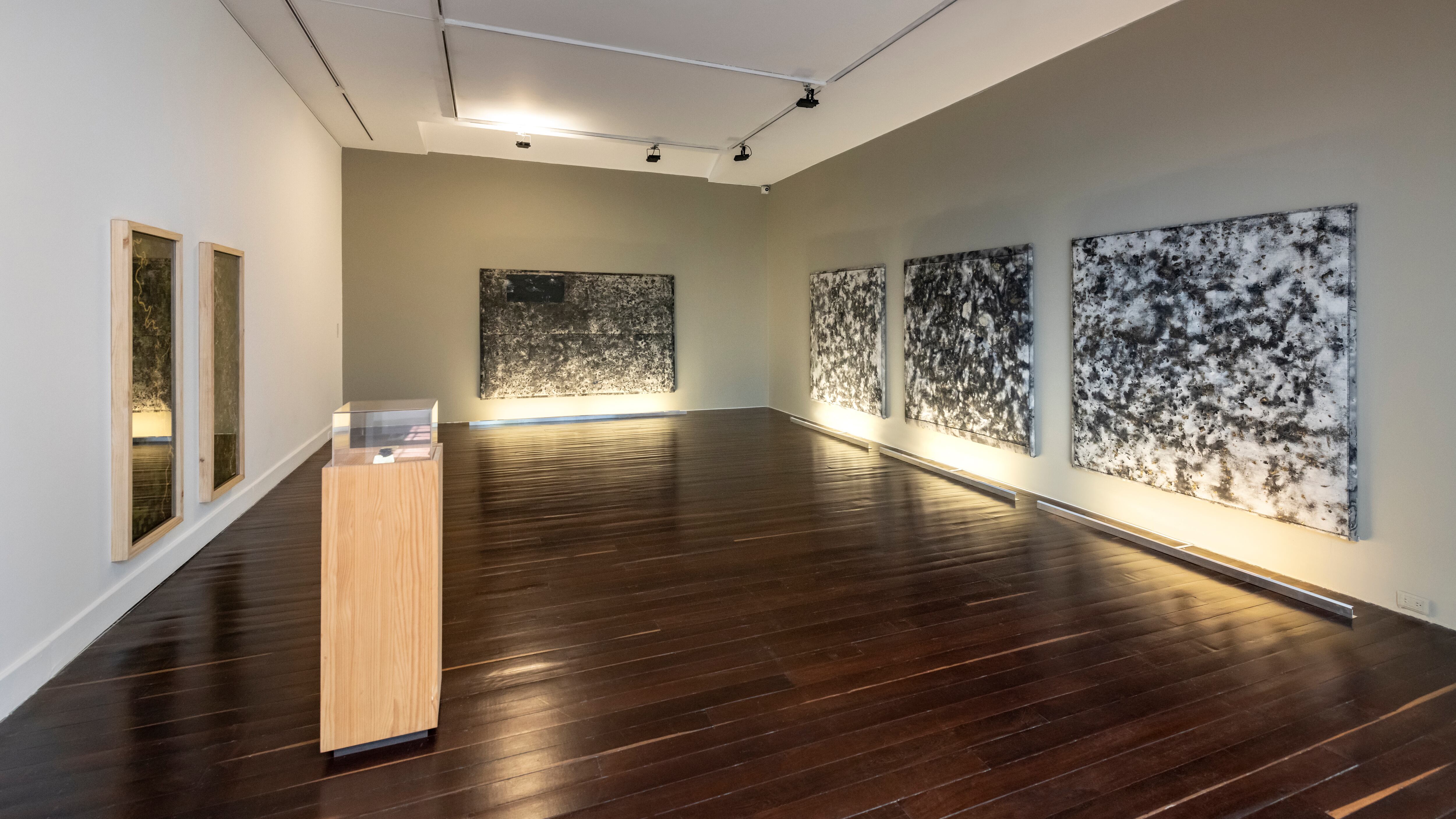 Yo, usted y El Clan. Miguel Ángel Rojas_©Nicolás Jacob.