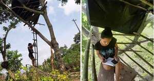 Imágenes de Daniela Saray subiendo y mientras estudia en el árbol, en la vereda Tierra, de Puerto Escondido.