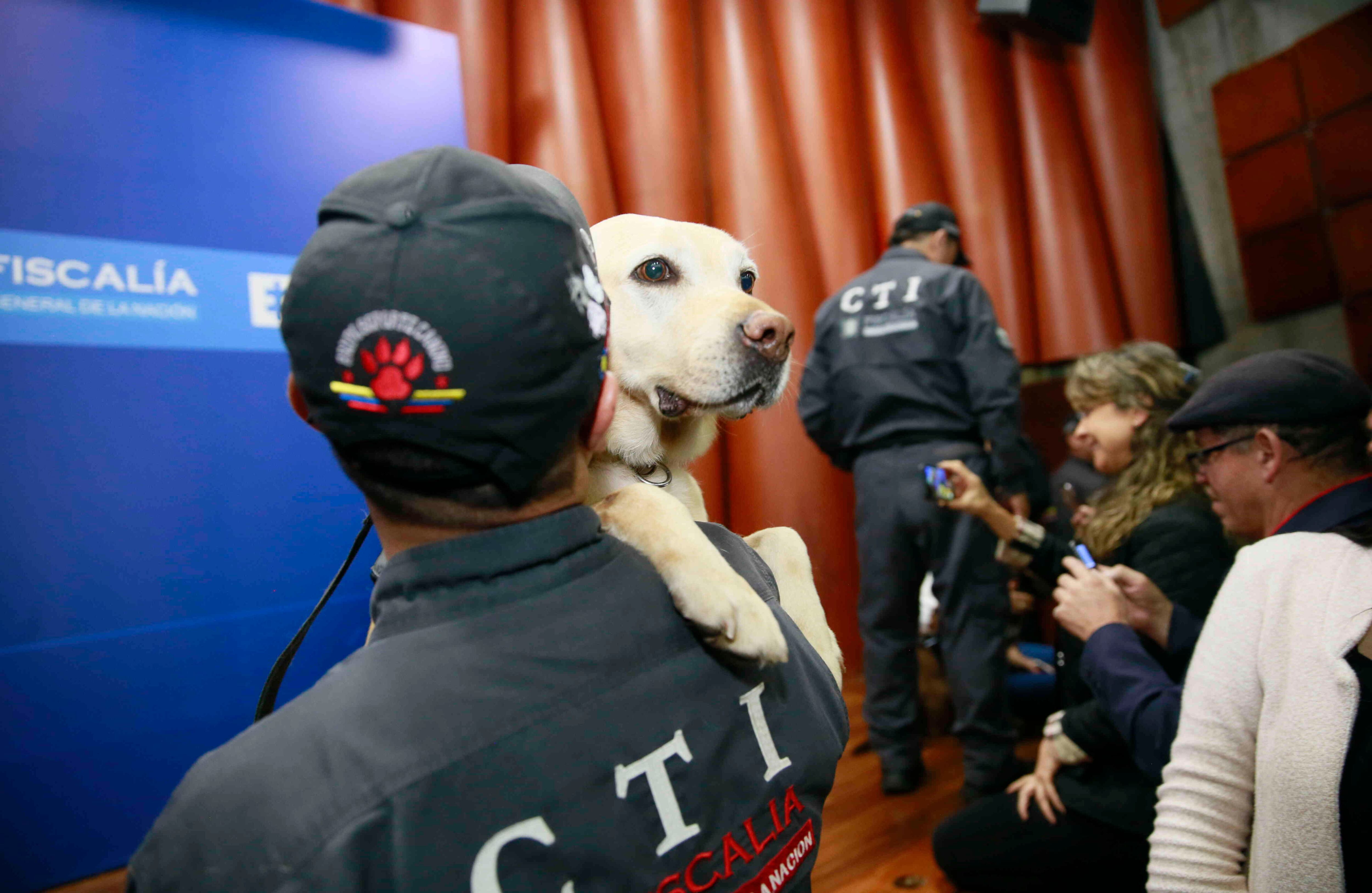Durante años enfrentaron con sus amos situaciones de peligro y de gloria.