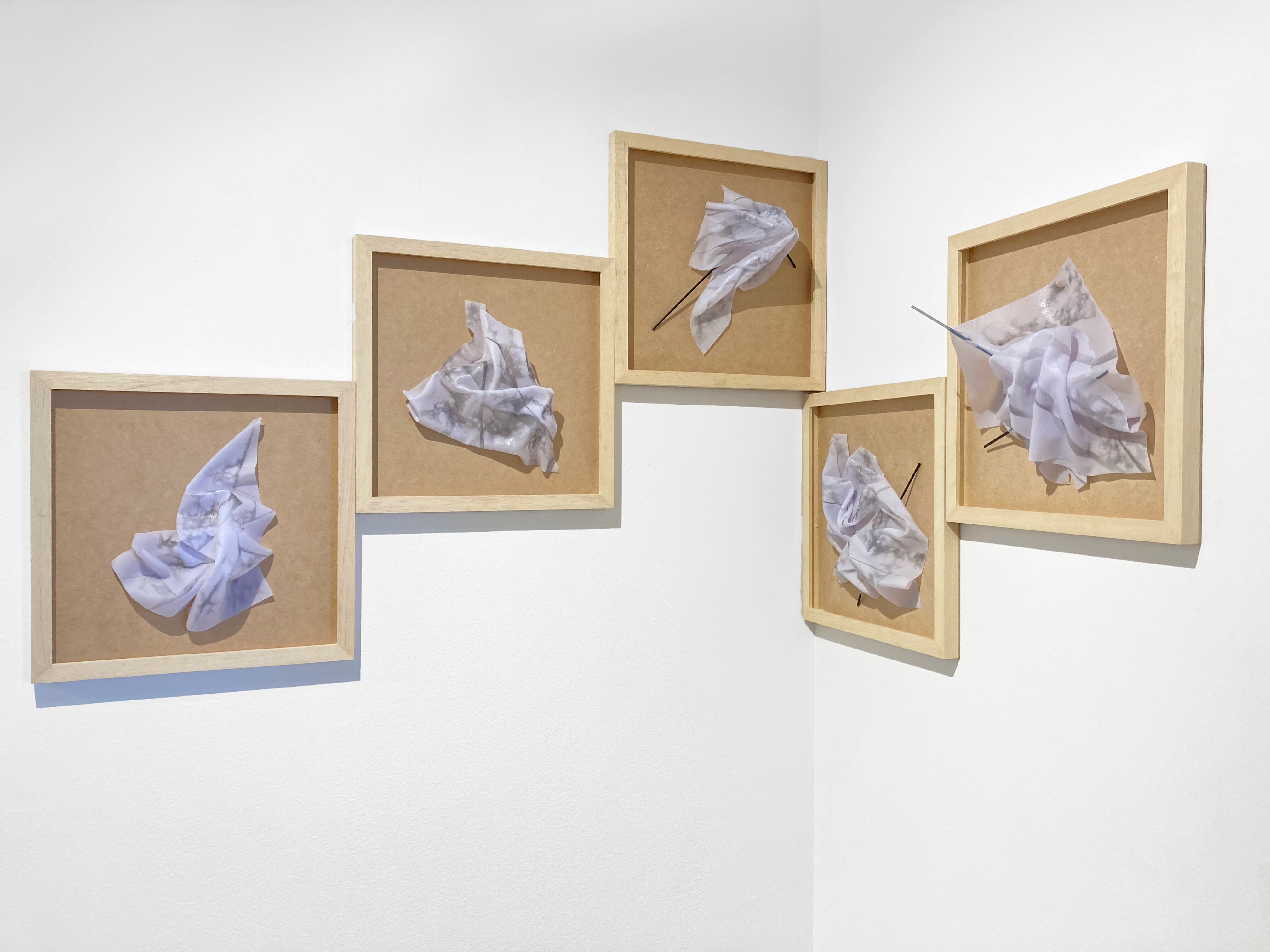 Ximena De Valdenebro. Serie sin título Madera, tela, barniz y dibujo en grafito