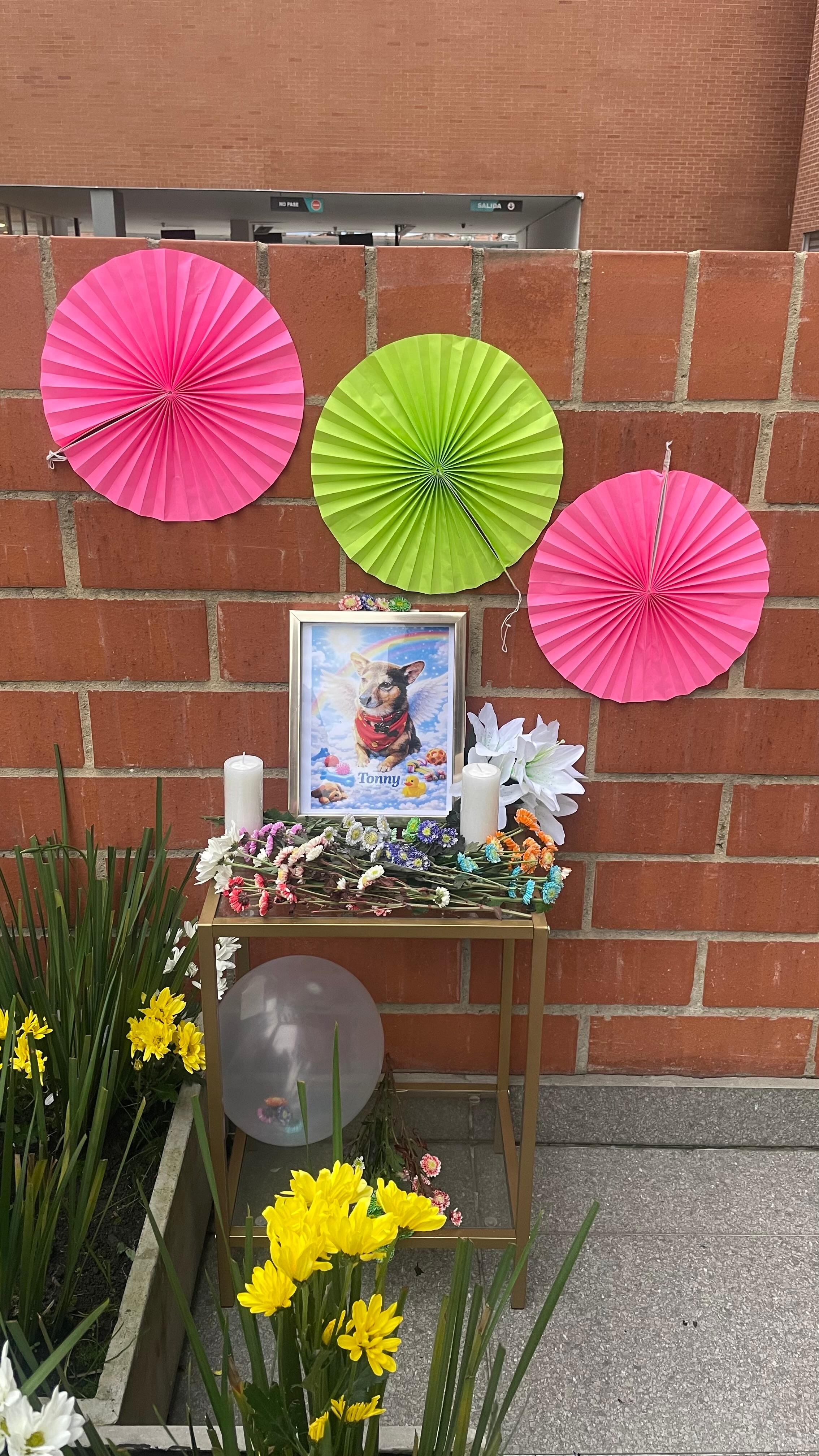 Altar que le hicieron a Tonny en el lugar en el que falleció.