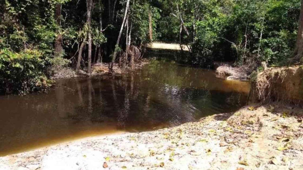 Cerca de 5 kilómetros del arroyo se vieron afectados y causaron la muerte de cientos de peces. Foto: Santiago Duque.