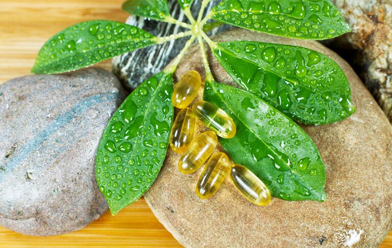 Las hojas de moringa se emplean para infusiones.