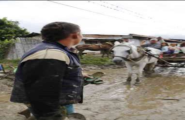 Foto: Twitter Óscar Ocampo.