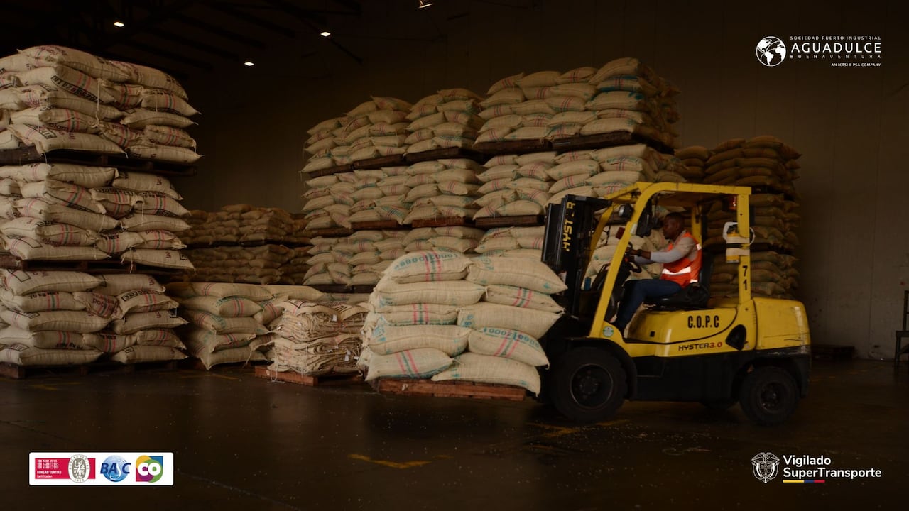 Más de 3.500 contenedores de café salieron por Puerto Aguadulce en 2025.