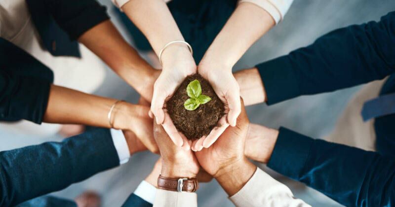 Hoy en día las empresas deben desarrollar estrategias de sostenibilidad que compensen el impacto ambiental que generan sus actividades.