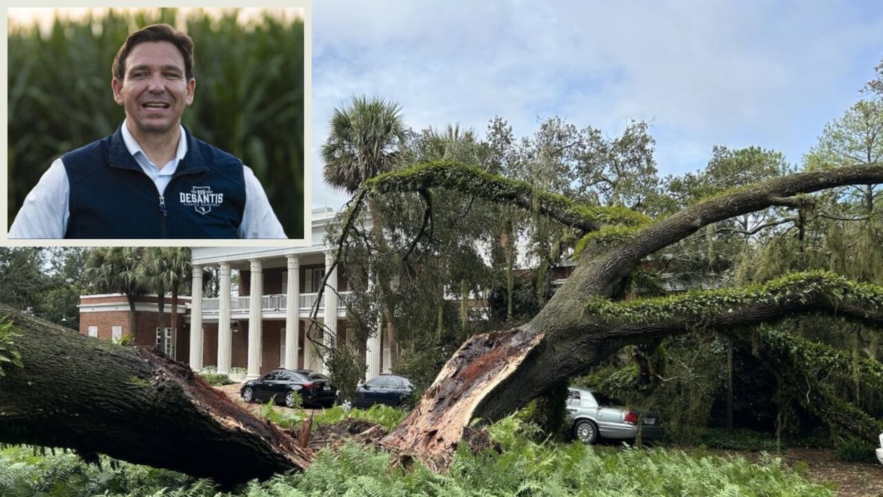 DeSantis explicó que el viejo árbol cayó justo al lado de la casa, y aunque en el momento no tenía información sobre posibles afectaciones.