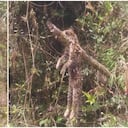Vecinos del sector atribuyen el hecho a cazadores furtivos. Foto: CAR Cundinamarca.