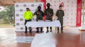Ofensiva contra las disidencias en el Cauca