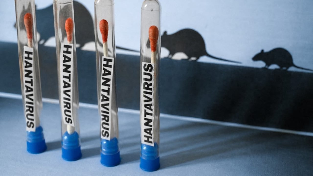 Ilustración de un concepto de prueba de hantavirus con tubos de laboratorio que contienen hisopos de algodón y etiquetas de Hantavirus junto con siluetas de ratas en el fondo que evocan la transmisión por roedores fotografiados, en París, Francia, el 4 de mayo de 2026