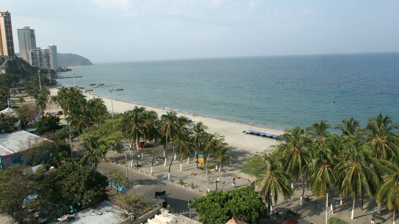 Susto por hallazgo de caimán en playa de Santa Marta. Imagen de referencia, no corresponde al lugar de la aparición.