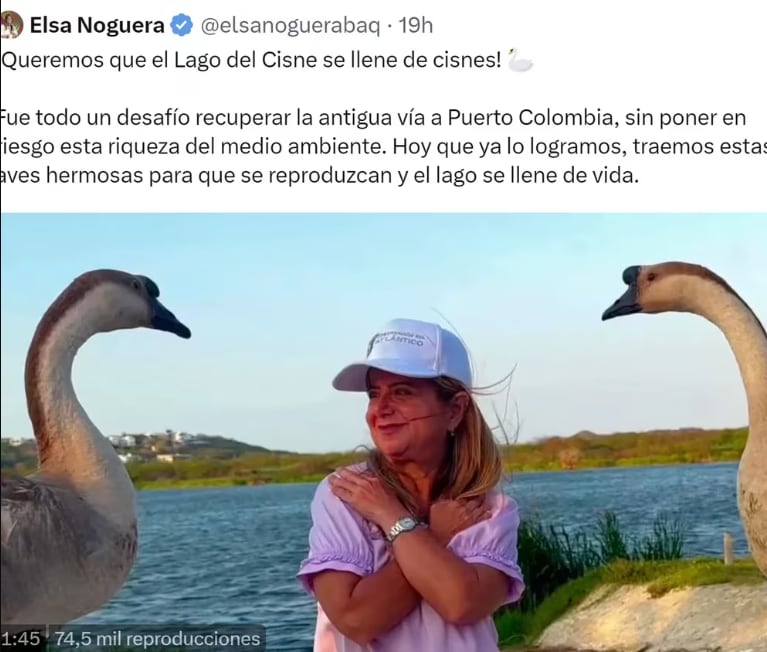 El Tweet de la polémica.