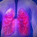 Pulmones, sistema respiratorio, tos.