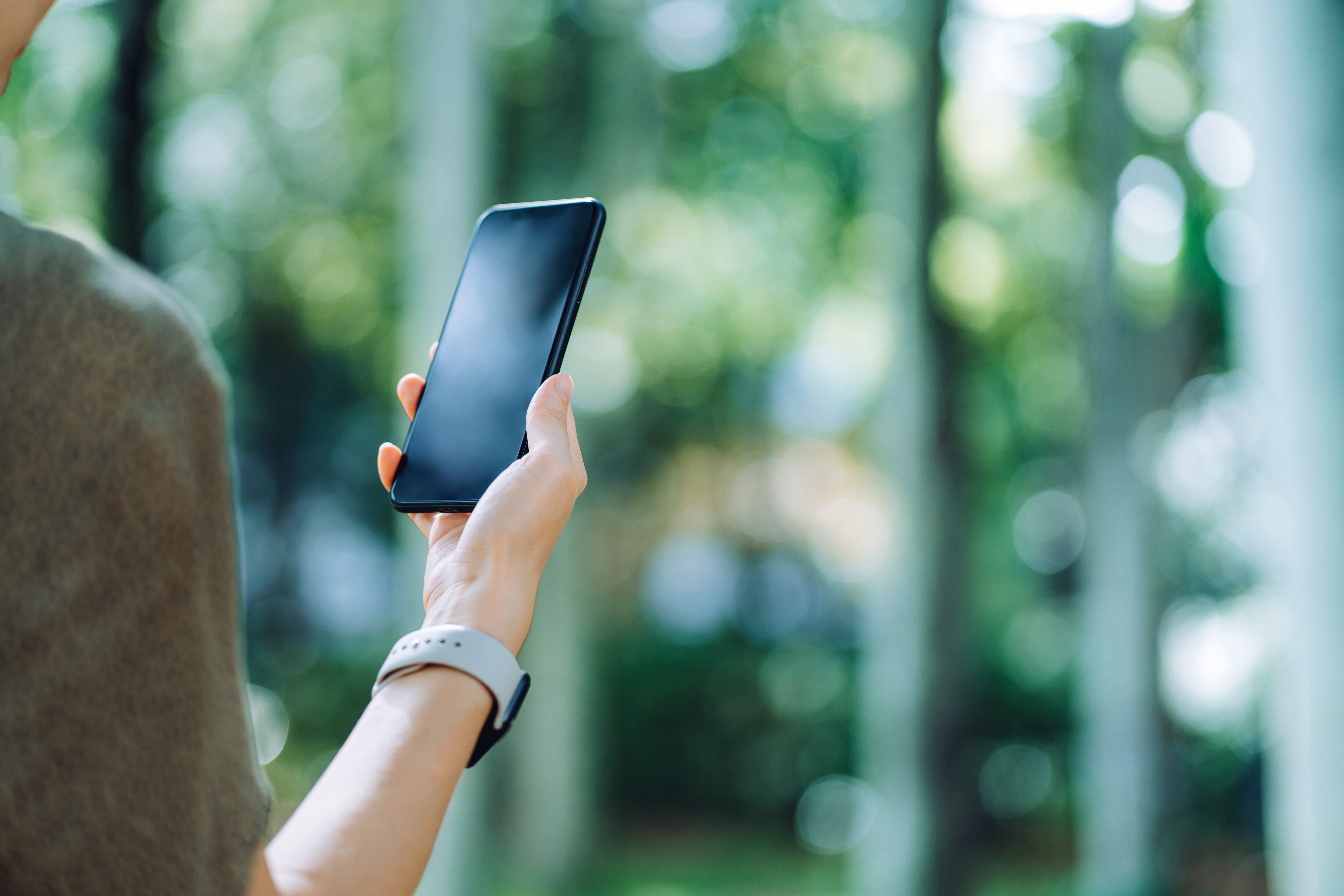 Las pantallas rectas siguen siendo consumidas; sin embargo, el mercado ofrece diferentes alternativas a los usuarios.