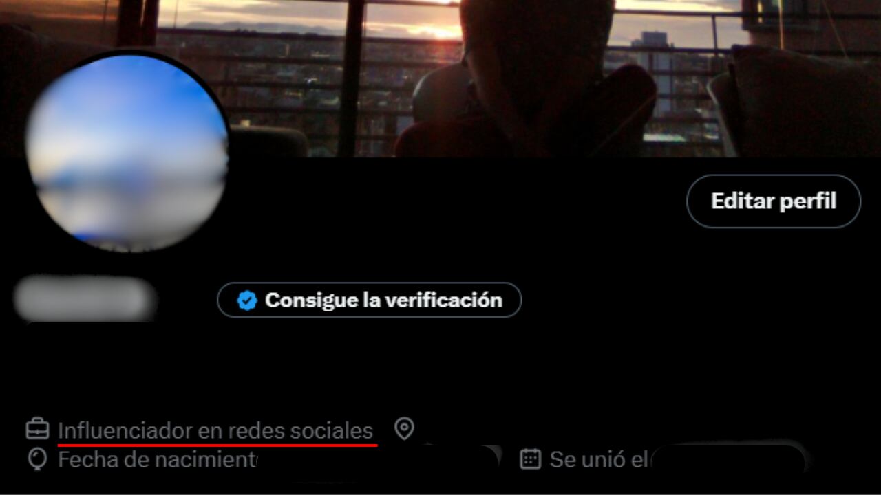 Las etiquetas en X son visibles en los perfiles sin requerir verificación previa.