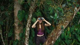 'Piedras preciosas', Simón Vélez