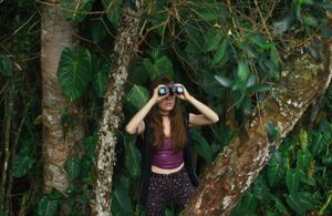 'Piedras preciosas', Simón Vélez