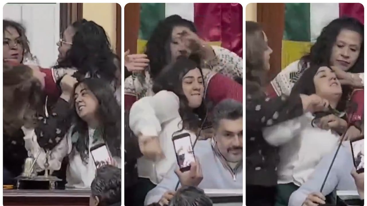 Otros legisladores intentaron separar a las diputadas y calmar los ánimos