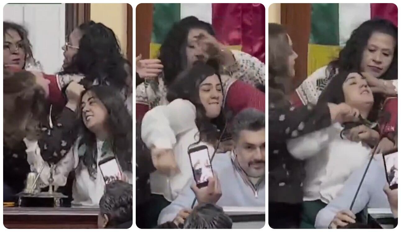 Otros legisladores intentaron separar a las diputadas y calmar los ánimos