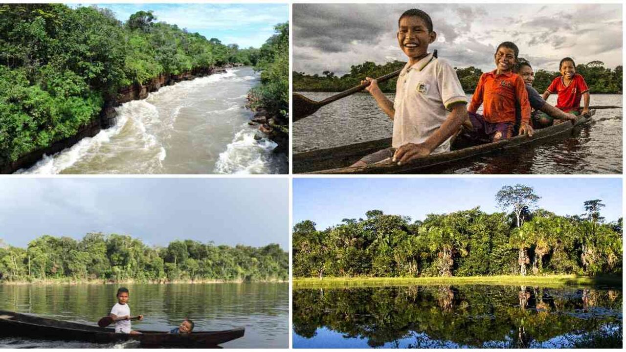 Fotos: WWF.