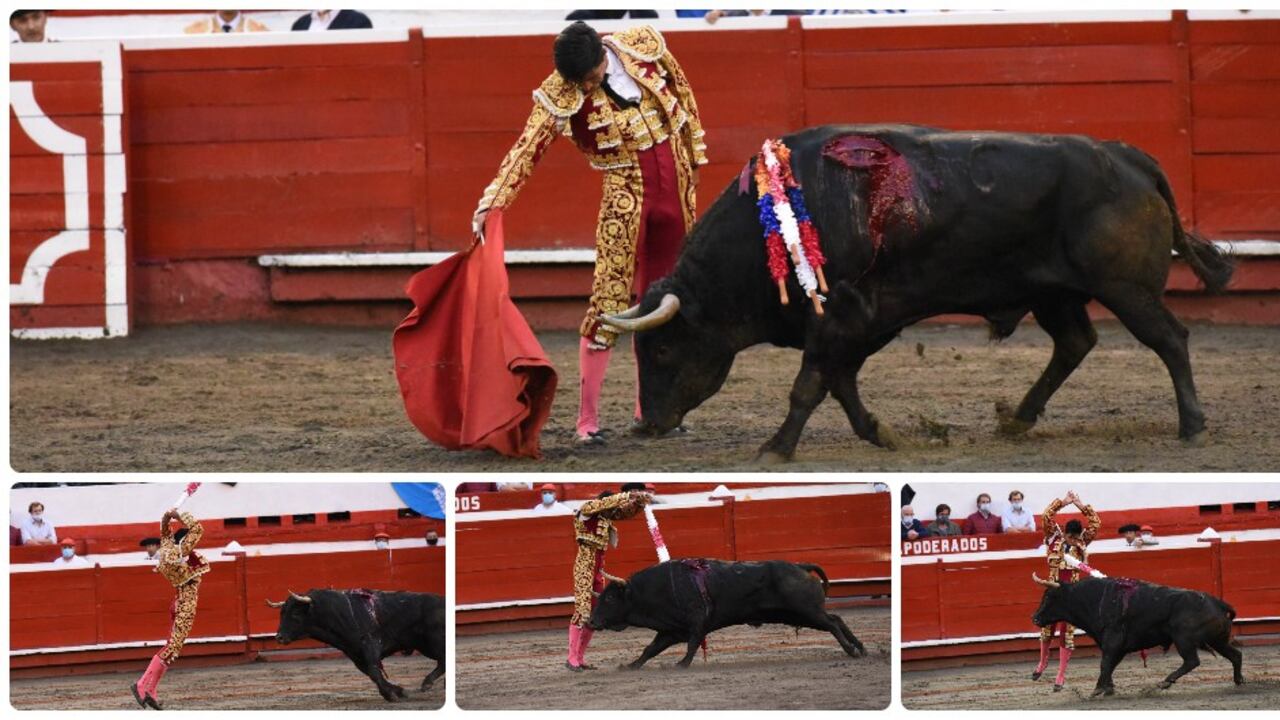 Gitanillo de América, novillero colombiano. Manizales, 3 de enero de 2022.