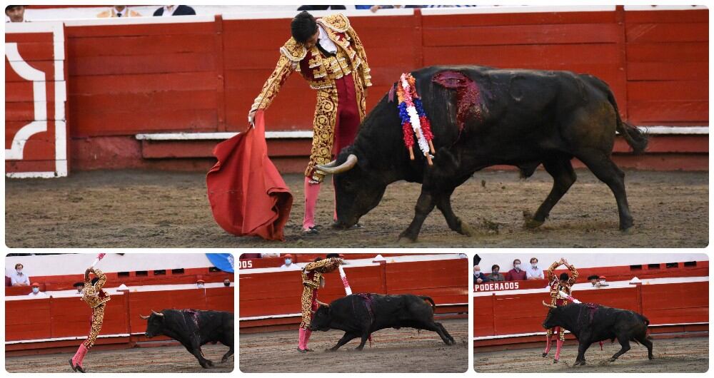 Gitanillo de América, novillero colombiano. Manizales, 3 de enero de 2022.