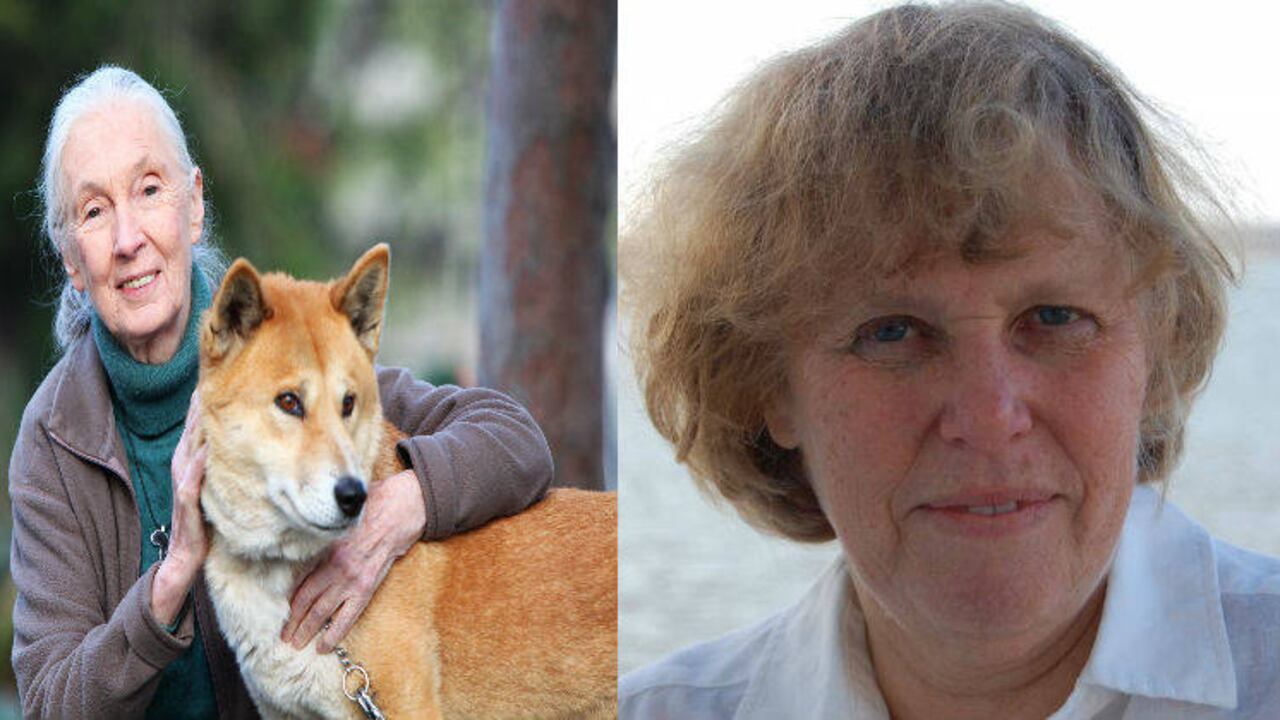 janegoodall.org.au/alchetron.com