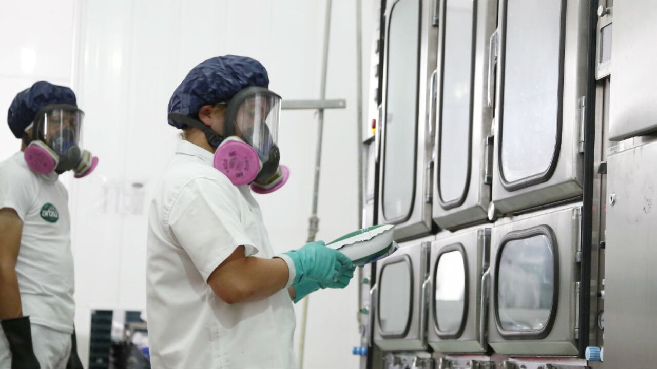 Gobierno decretó el aumento del salario mínimo.