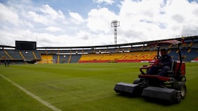 El campín