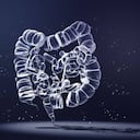 La obstrucción intestinal puede causar pérdida del apetito y estreñimiento. Foto: Getty Images.